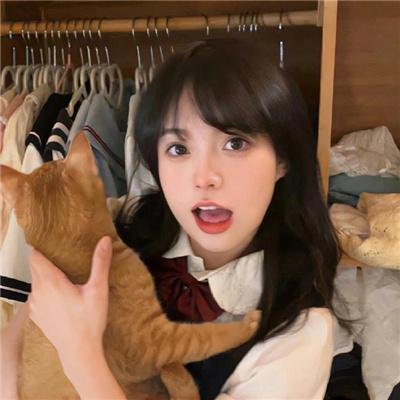 爆炸猫